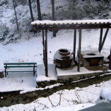 Flora'S House Villa Spilia Екстериор снимка